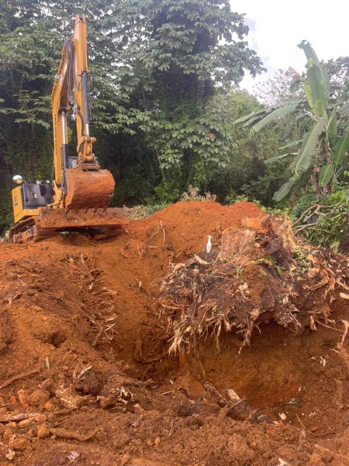 Défrichement de terrain Martinique